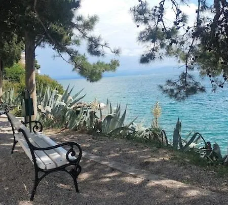 Skejic * Split