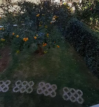 Skejic Apartment Split